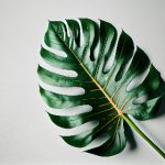 揭秘疯马秀内场视频:舞台背后的精彩瞬间 9wm92ygw5y