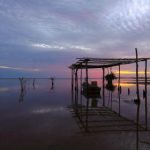 揭秘娱乐圈爆料黑料,真相背后的故事 azh16a5jei