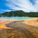 揭秘天涯神贴九哥骗局背后的真相与影响 b09j12s