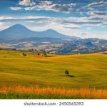 揭秘套路直播平台:如何识别与避免潜在风险 dc0jcxt